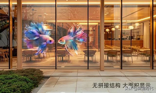 师洲明全息显示开辟崭新沉浸式视觉时代凯发k8一触即发定义空间的光显魔法(图7)